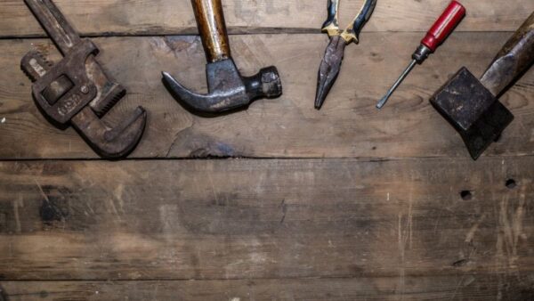 10 Cutting Horse Equipment And Gear Essentials