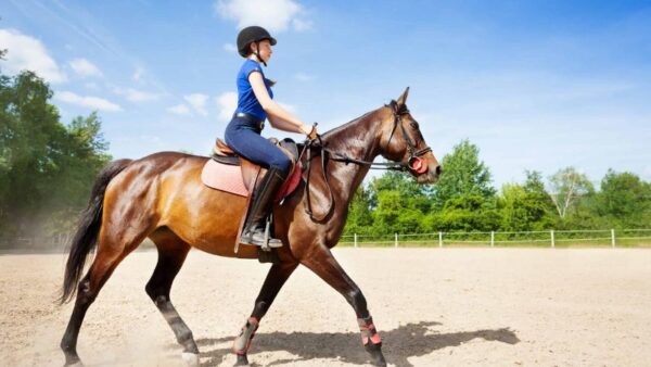 10 Essential Safety Precautions for Cutting Horse Riders