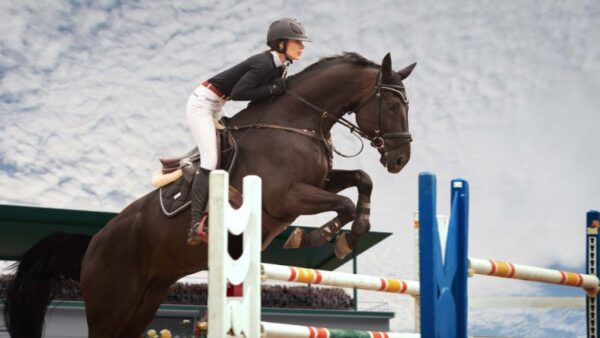 8 Advanced Cutting Horse Maneuvers For Competition