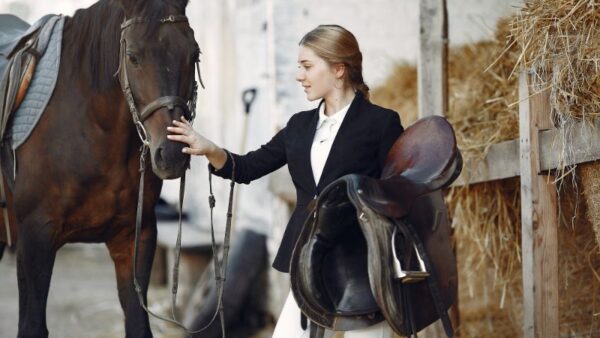 10 Tips On How To Choose The Right Cutting Horse Saddle