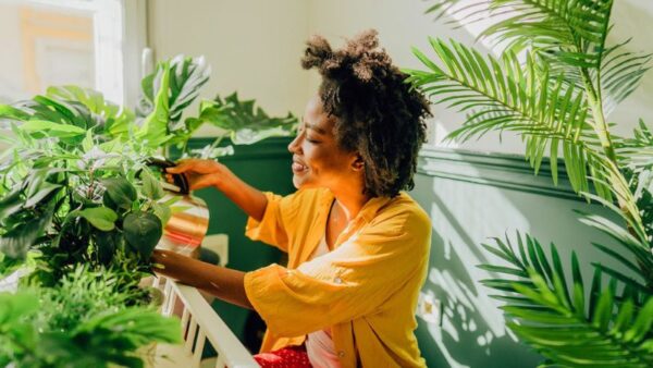 7 Houseplants That Are Super Easy to Care For, According to a Plant Expert