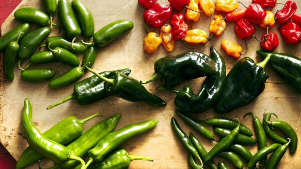 7 of the Hottest Peppers in the World