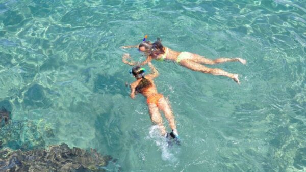 7 Most Beautiful Key West Snorkeling Spots