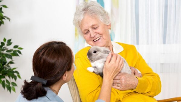 9 Need To Know Tips To Care For Your Pet Rabbit